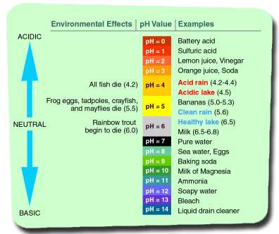 pH Scale