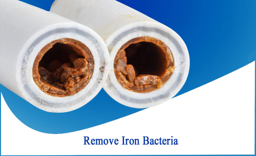 Remove bacterial iron
