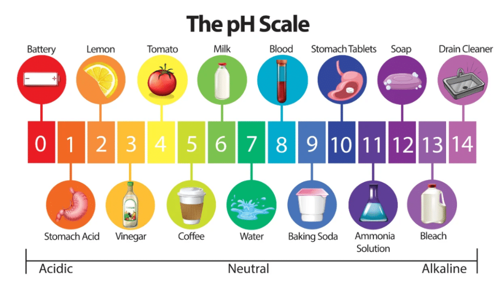 The PH scale