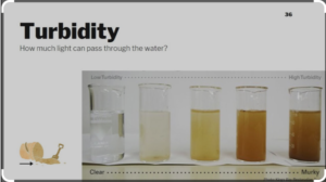 what is turbidity and why is it important